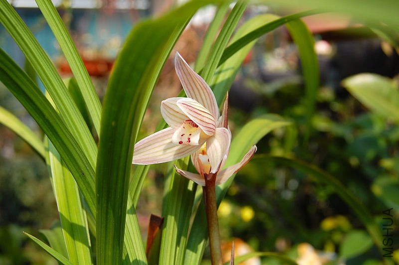 DSC_72320223.JPG