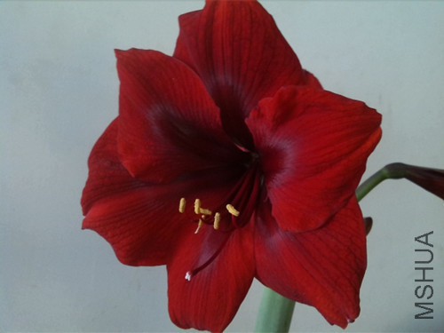 ����컨