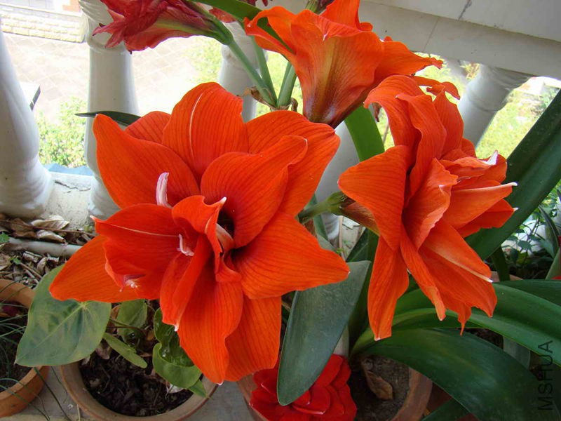 �ذ길����
