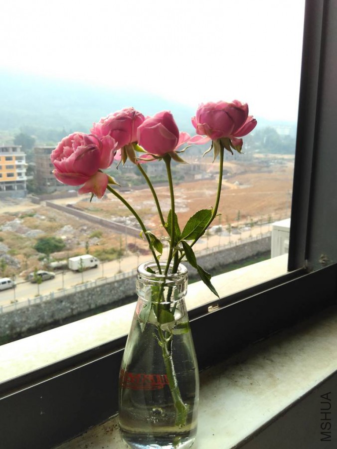 ��_768_1024_70.jpg
