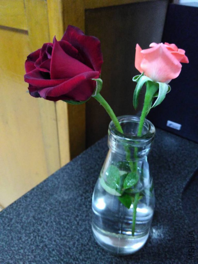 ������_768_1024_70.jpg