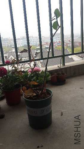 20160306_150619.jpg