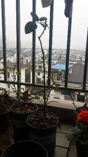 20160306_154715.jpg