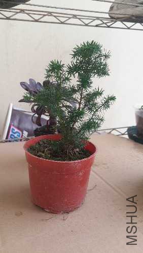 20160306_160802.jpg