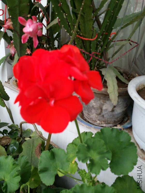 QQ图片20160306153023.jpg