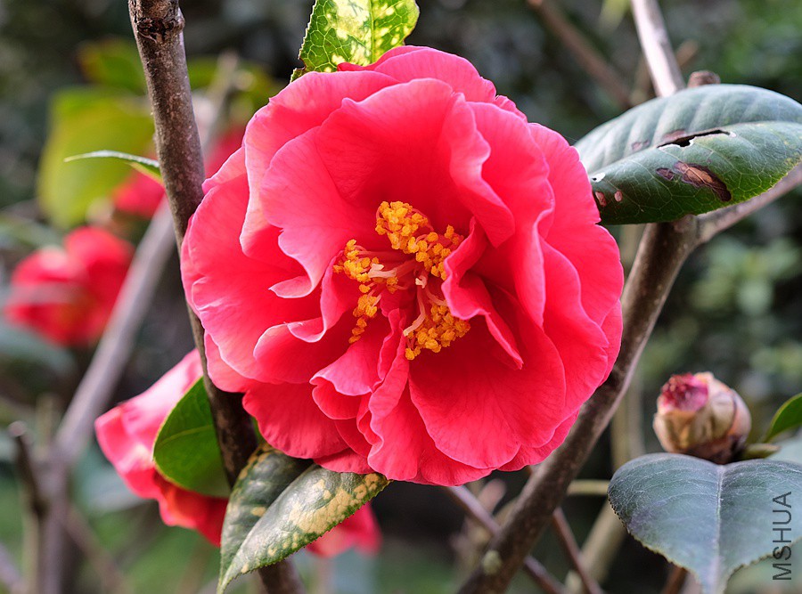 DSCF5757.JPG