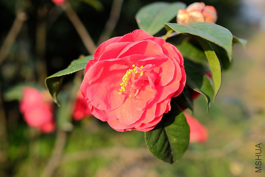 DSCF5717.JPG