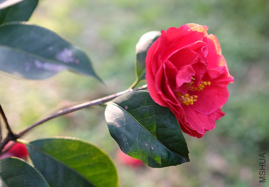 DSCF5748.JPG