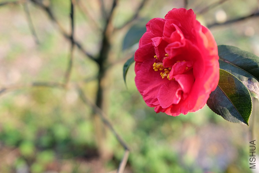DSCF5752.JPG