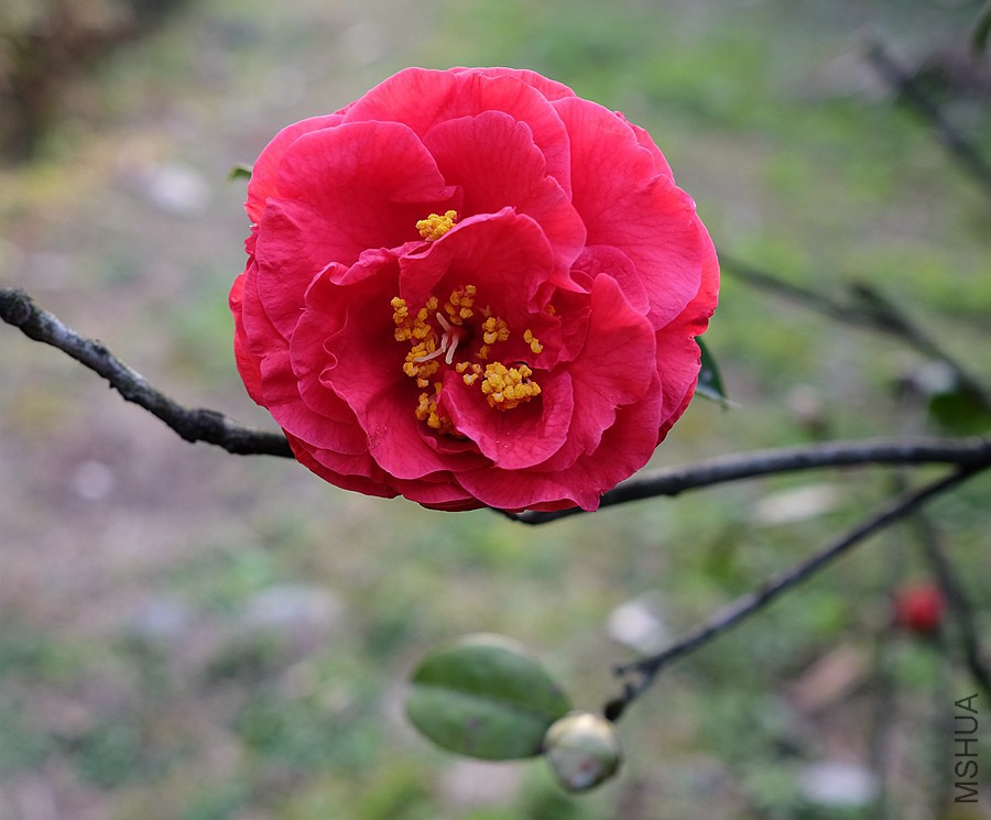 DSCF5756.JPG