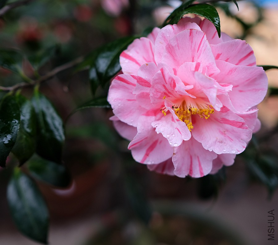 DSCF5705.JPG