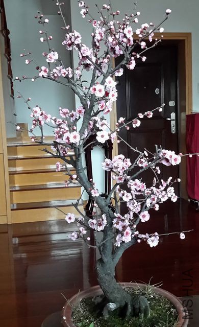 20160306_124046.jpg
