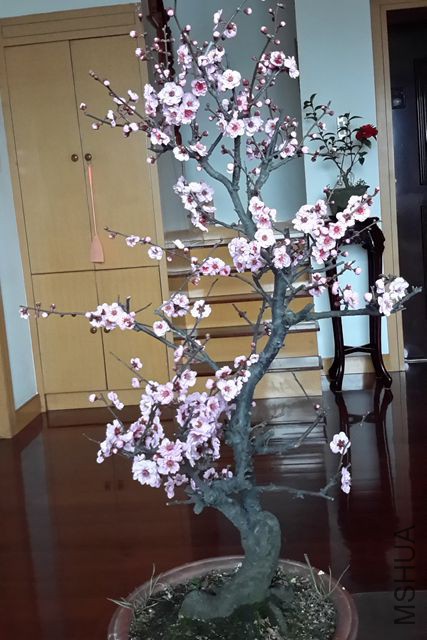 20160306_125508.jpg