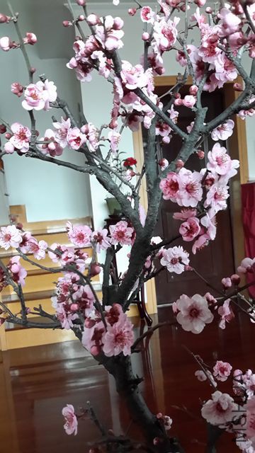 20160306_124055.jpg