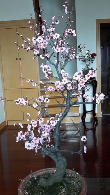 20160306_125519.jpg