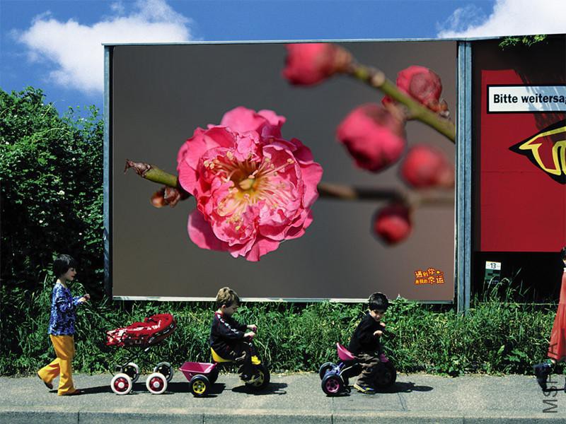 ��Ƭ 037_����.jpg