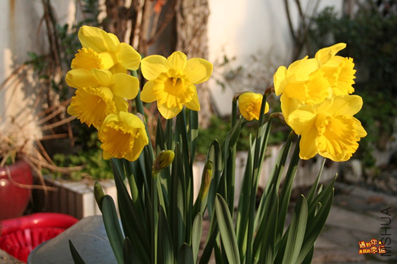 ��Ƭ 001_����.jpg