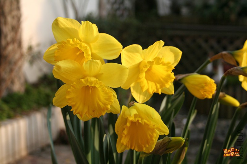 ��Ƭ 004_����.jpg