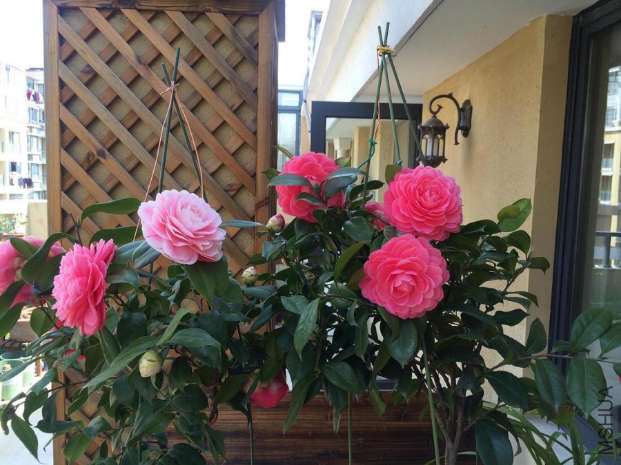 ��Ƭ 028.jpg