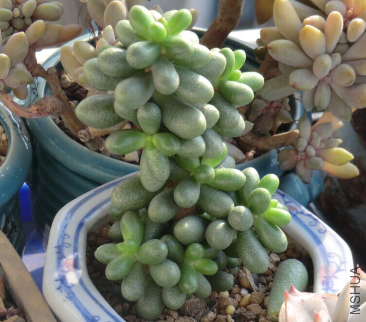 QQͼƬ20160307090956.jpg