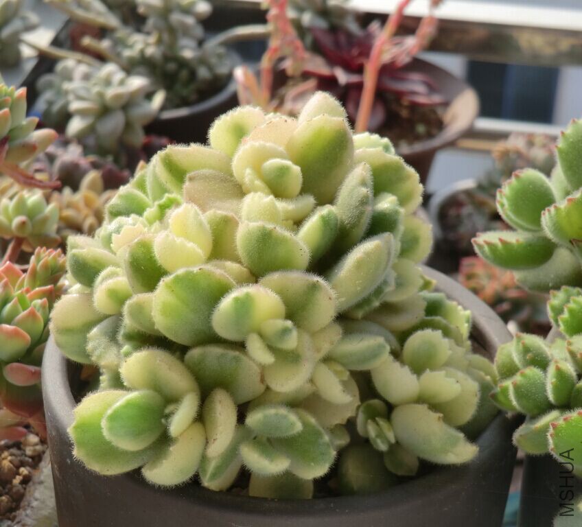 QQͼƬ20160307091527.jpg