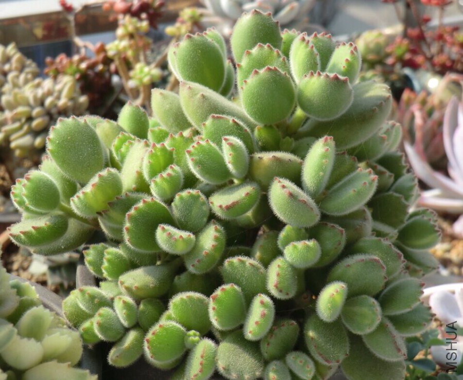QQͼƬ20160307091457.jpg