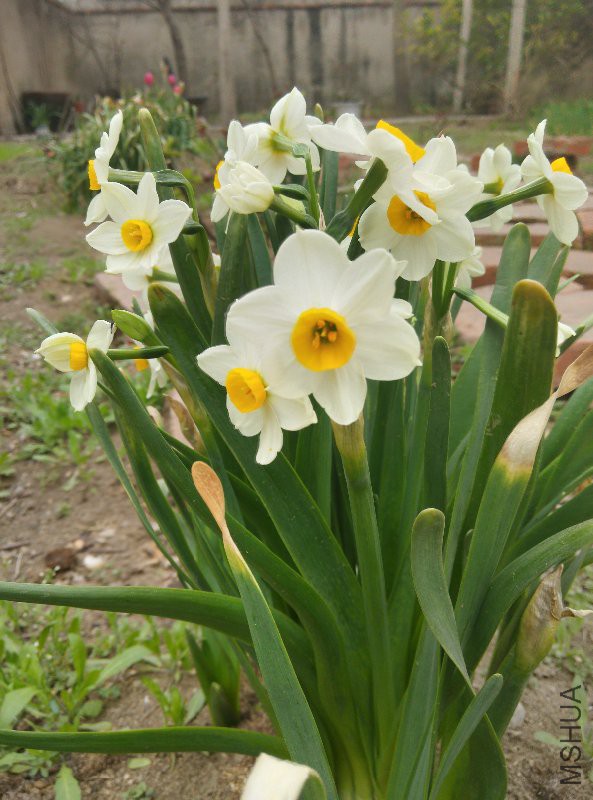 лл��ң���һ�ſ�����ˮ��