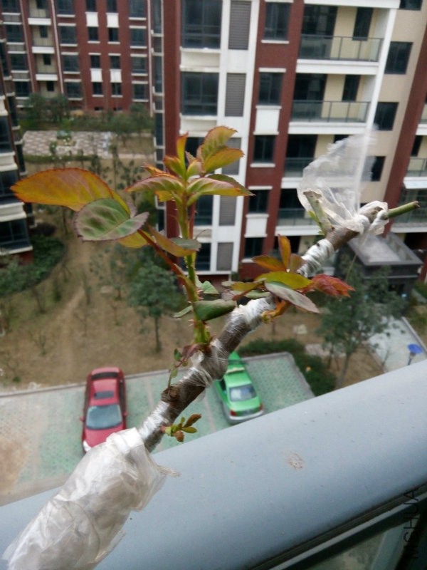 �ҵ����Ӧ�������