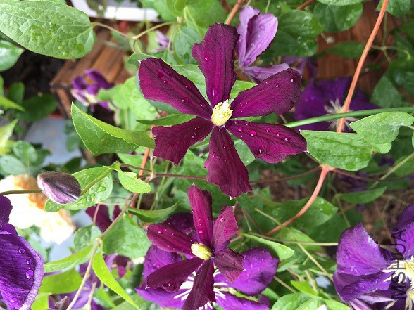 2015��5.7 083.jpg