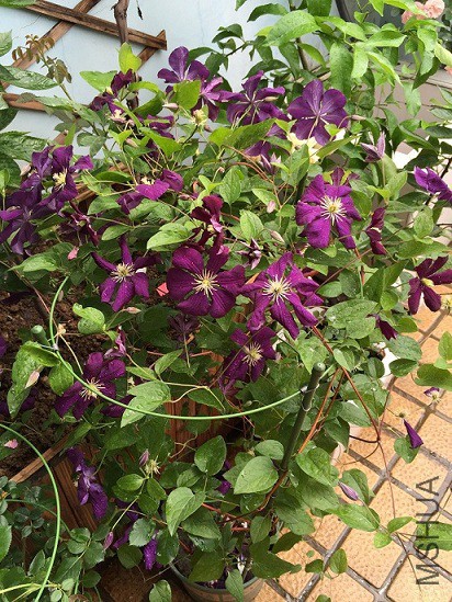 2015��5.7 078.jpg