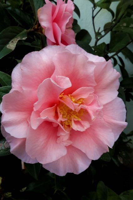 20160308_150510_����.jpg