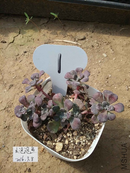 20160228_125108����_����.jpg