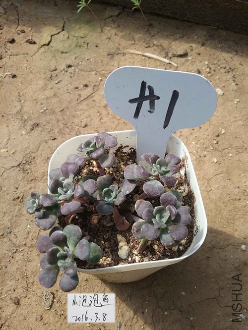 20160228_125117����_����.jpg