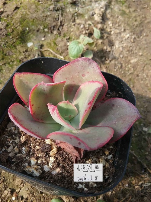 20160228_133844����_����.jpg