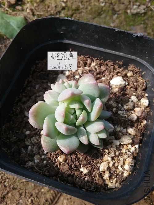 20160228_133912����_����.jpg
