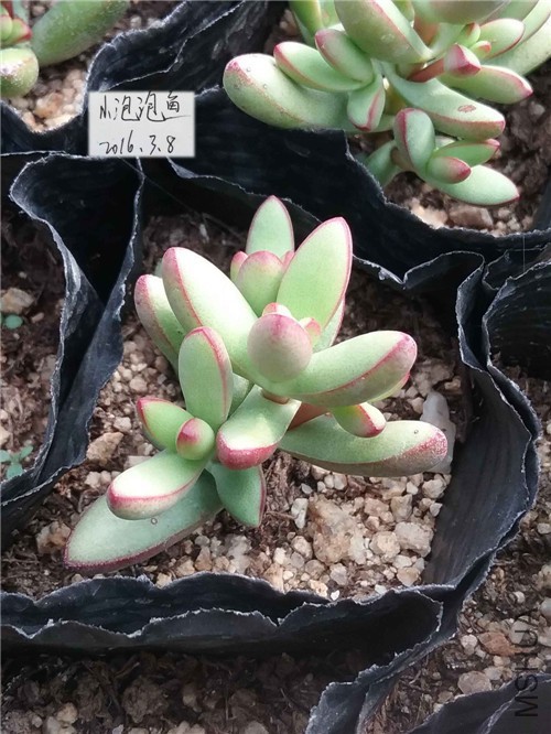 20160228_135641����_����.jpg