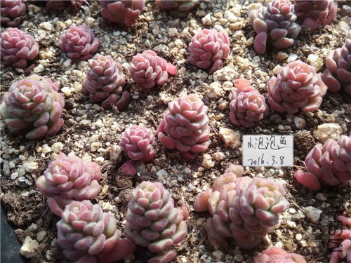 20160229_144626����_����.jpg