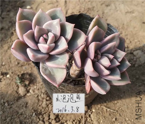 20160229_145019����_����.jpg