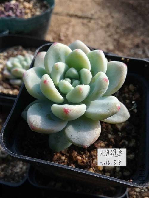 20160229_150257����_����.jpg