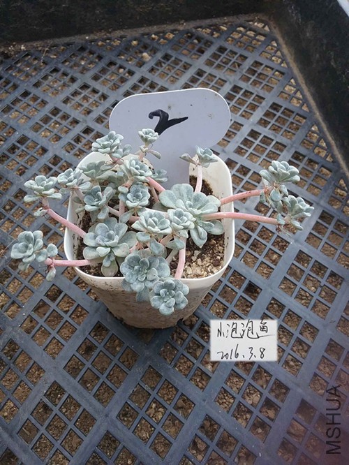 20160228_124903����_����.jpg