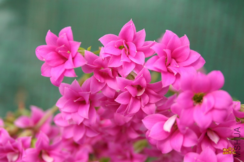 ��Ƭ 030_����.jpg