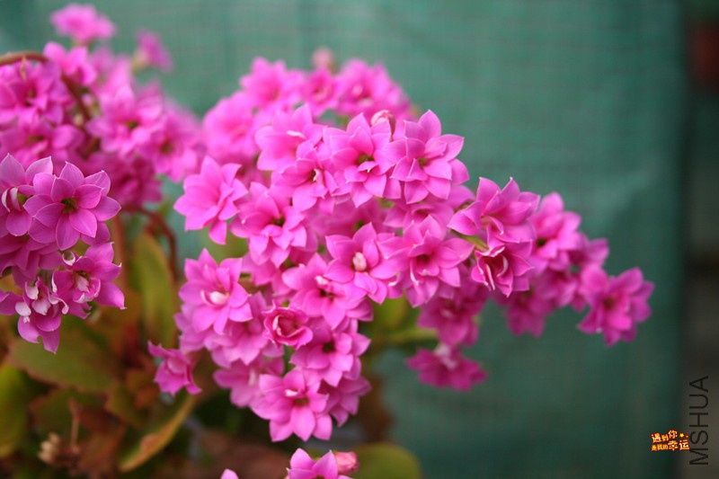 ��Ƭ 028_����.jpg