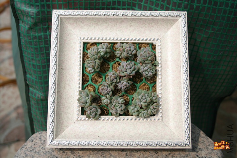 ��Ƭ 050_����.jpg