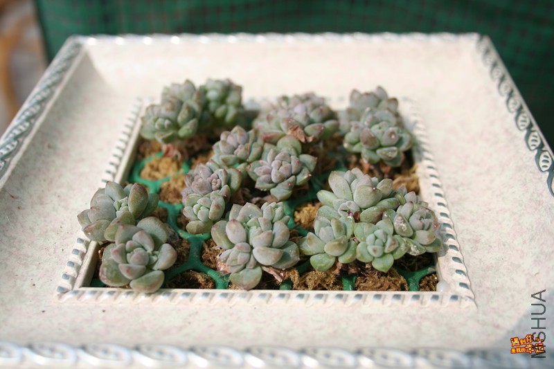 ��Ƭ 052_����.jpg