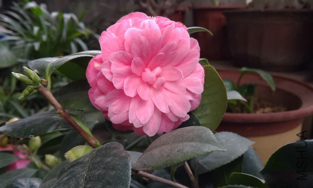 �軨����ʮ��ѧʿ (2).jpg