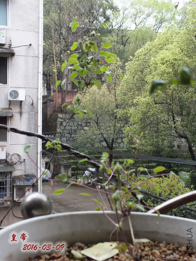 2016.3.9 019_����.jpg