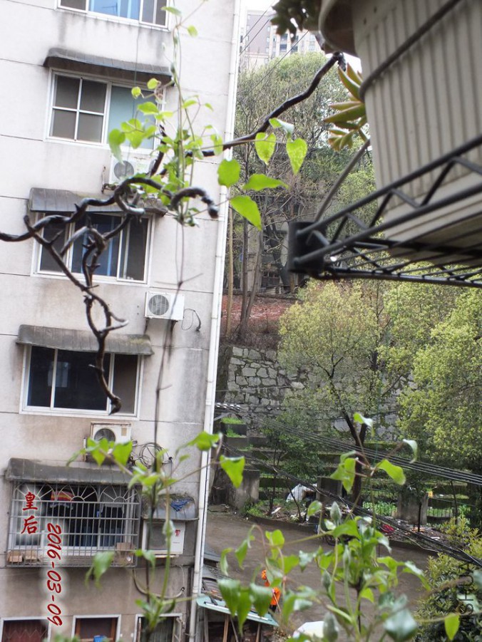 2016.3.9 016_����.jpg