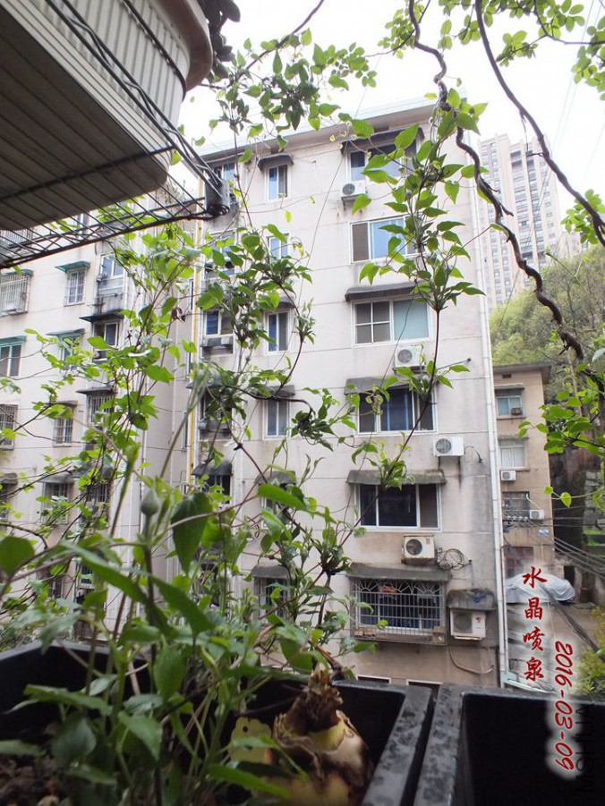 2016.3.9 027_����.jpg