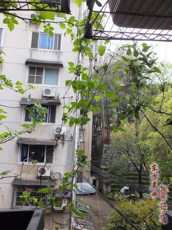 2016.3.9 030_����.jpg