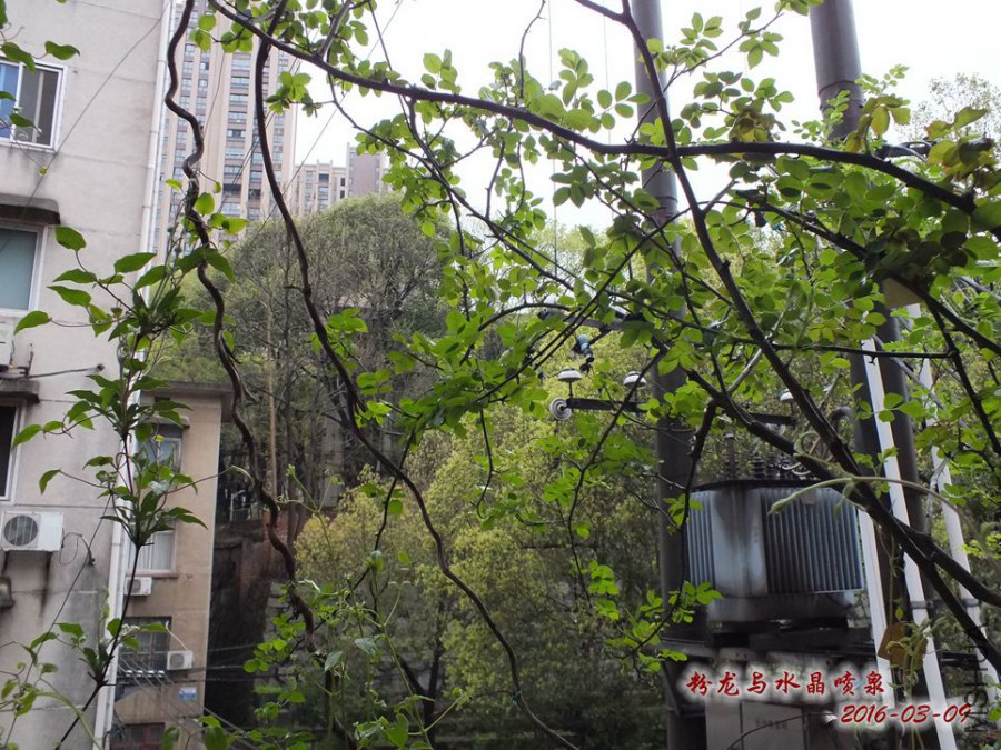 2016.3.9 033_����.jpg